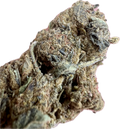 Ripkitty Black Truffle THCA Hemp Flowers